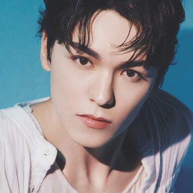 svt - vernon